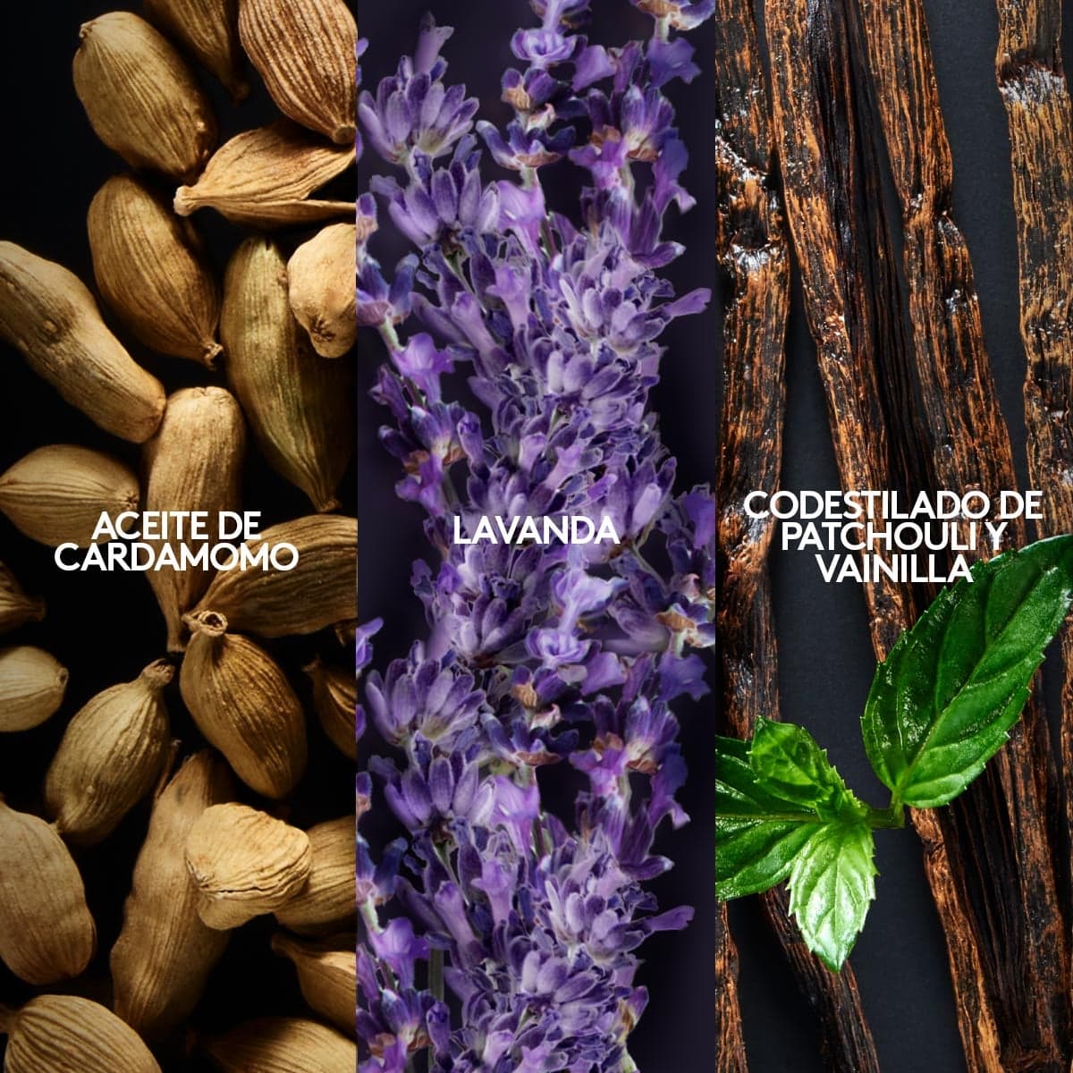 D'orsay Inspire Perfume de Hombre, 90 ml thumbnail 4